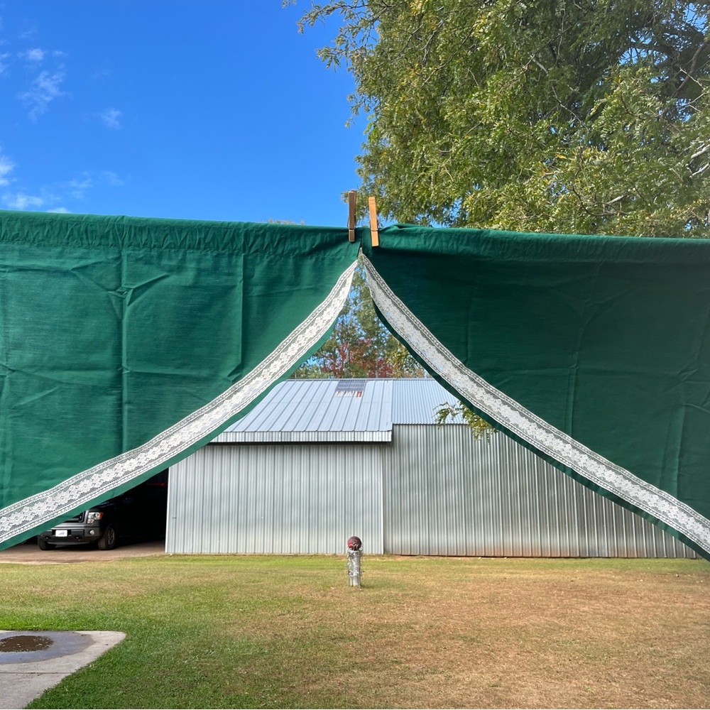 Green/ Lace Trim Curtains